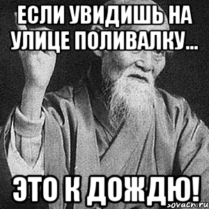 Если увидишь на улице поливалку... Это к дождю!, Мем Монах-мудрец (сэнсей)