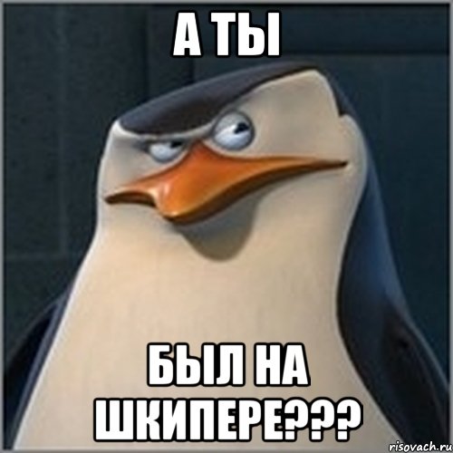 А ТЫ БЫЛ НА ШКИПЕРЕ???, Мем шкипер