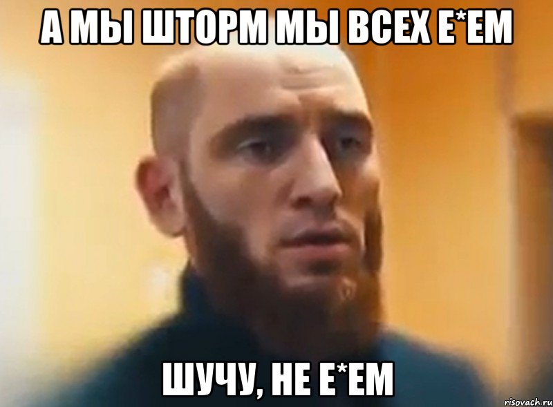 А МЫ ШТОРМ МЫ ВСЕХ Е*ЕМ ШУЧУ, НЕ Е*ЕМ, Мем Шучу