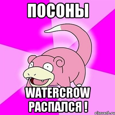 Посоны Watercrow распался !, Мем слоупок