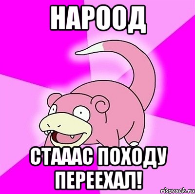 Нароод Стааас походу переехал!, Мем слоупок