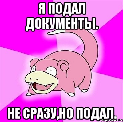 Я подал документы. Не сразу,но подал., Мем слоупок