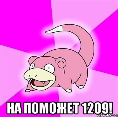  на поможет 1209!, Мем слоупок