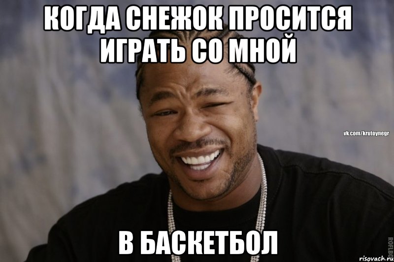 когда снежок просится играть со мной в баскетбол