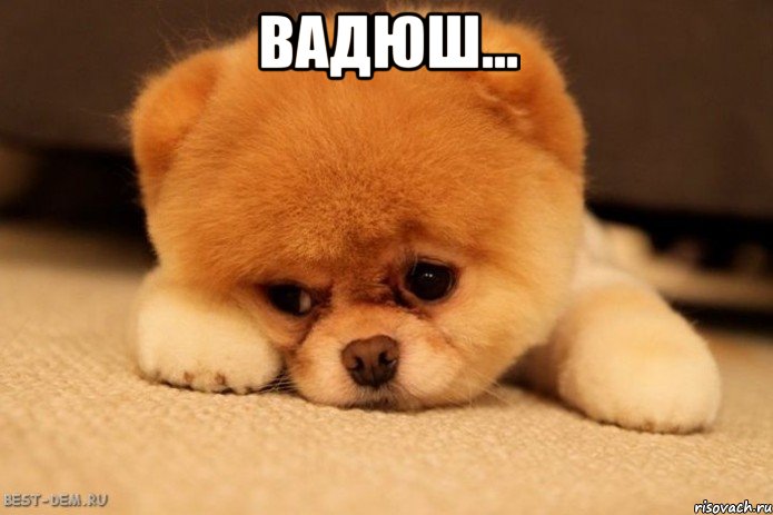 Вадюш... 