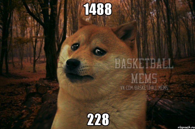 1488 228, Мем Собака Basletball Mems