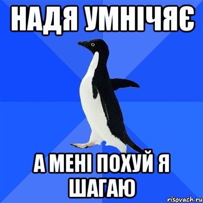 надя умнічяє а мені похуй я шагаю, Мем  Социально-неуклюжий пингвин