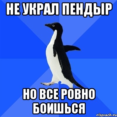 Не украл пендыр Но все ровно боишься, Мем  Социально-неуклюжий пингвин