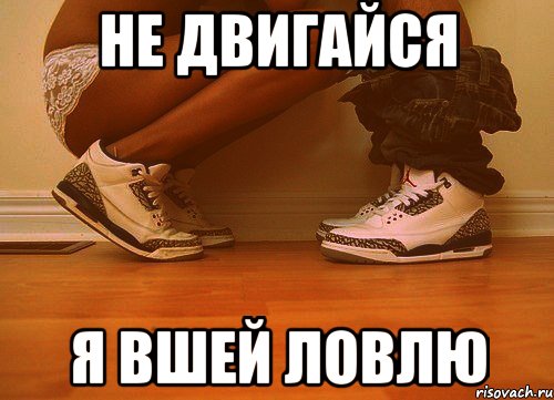 Не двигайся Я вшей ловлю, Мем СОСАТЬ ЛАЛКА