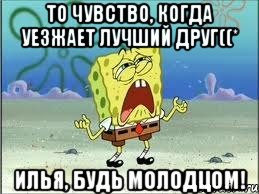 то чувство, когда уезжает лучший друг((* илья, будь молодцом!, Мем Спанч Боб плачет