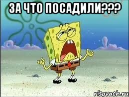 За что посадили??? , Мем Спанч Боб плачет