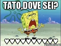 Tato,dove sei? ♥♥♥♥♥♥♥♥♥♥, Мем Спанч Боб плачет