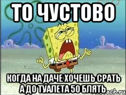 то чустово когда на даче хочешь срать а до туалета 50 блять, Мем Спанч Боб плачет