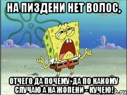 На ПИЗДени нет волос, Отчего да почему, Да по какому случаю А на жопени - кучею!, Мем Спанч Боб плачет