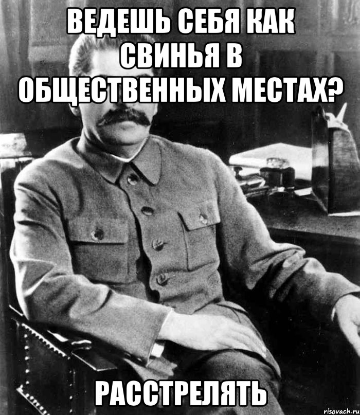 ВЕДЕШЬ СЕБЯ КАК СВИНЬЯ В ОБЩЕСТВЕННЫХ МЕСТАХ? РАССТРЕЛЯТЬ, Мем  иосиф сталин