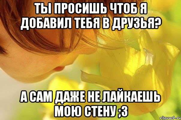 Ты просишь чтоб я добавил тебя в друзья? А сам даже не лайкаешь мою стену ;3, Мем статус