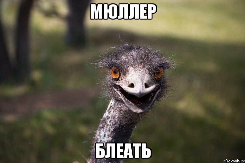 Мюллер Блеать
