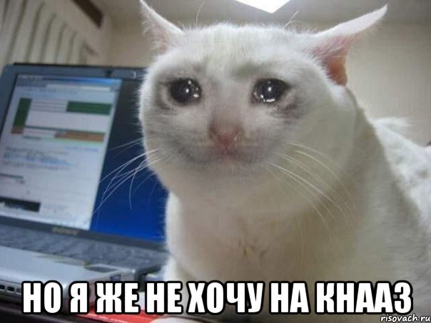  Но я же не хочу на кнааз