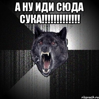 а ну иди сюда сука!!!!!!!!!!!!! , Мем Сумасшедший волк