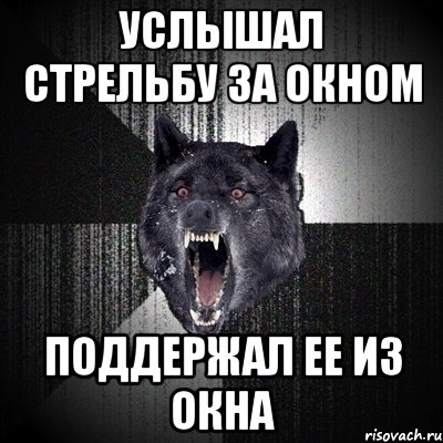 Услышал стрельбу за окном Поддержал ее из окна, Мем Сумасшедший волк