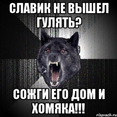 Славик не вышел гулять? сожги его дом и хомяка!!!, Мем Сумасшедший волк