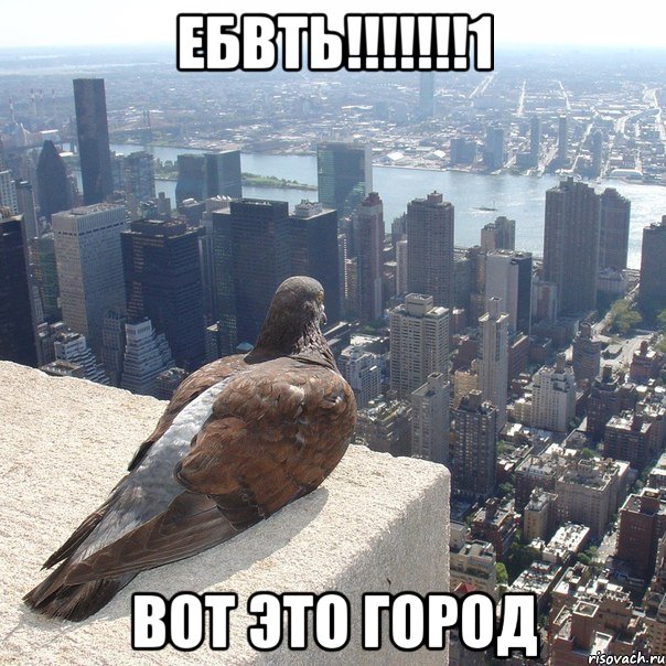 ебвть!!!!!!!1 вот это город