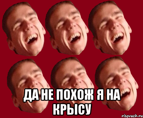  да не похож я на крысу
