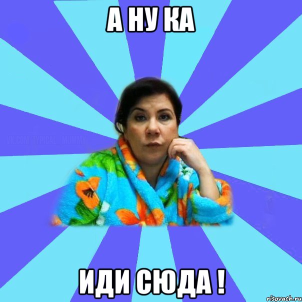 А ну ка иди сюда !, Мем типичная мама