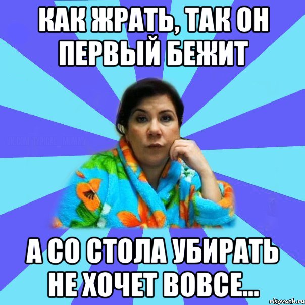 Как жрать, так он первый бежит А со стола убирать не хочет вовсе..., Мем типичная мама