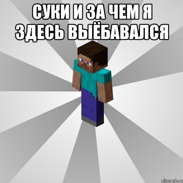 суки и за чем я здесь выёбавался , Мем Типичный игрок Minecraft