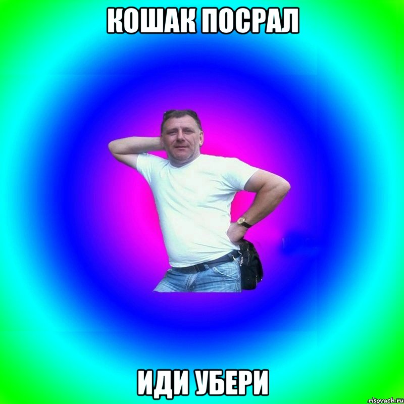 Кошак посрал иди убери