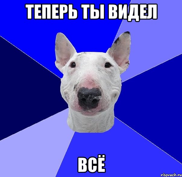 ТЕПЕРЬ ТЫ ВИДЕЛ ВСЁ, Мем типичный буль