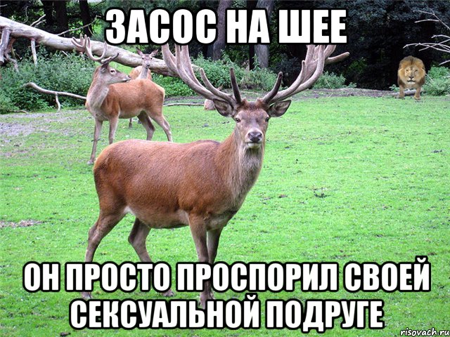Засос на шее Он просто проспорил своей сексуальной подруге