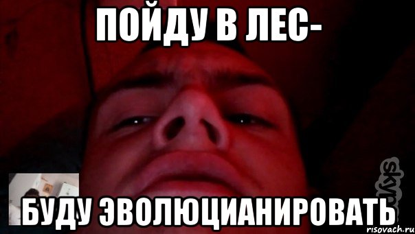Пойду в лес- буду эволюцианировать