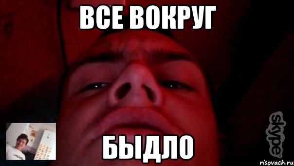 все вокруг быдло
