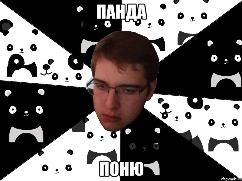 ПАНДА поню