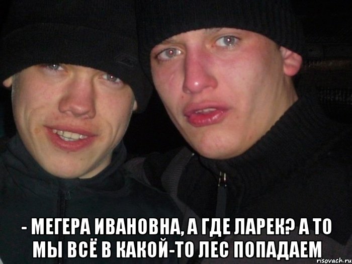  - мегера ивановна, а где ларек? а то мы всё в какой-то лес попадаем, Мем Ебать ты лох