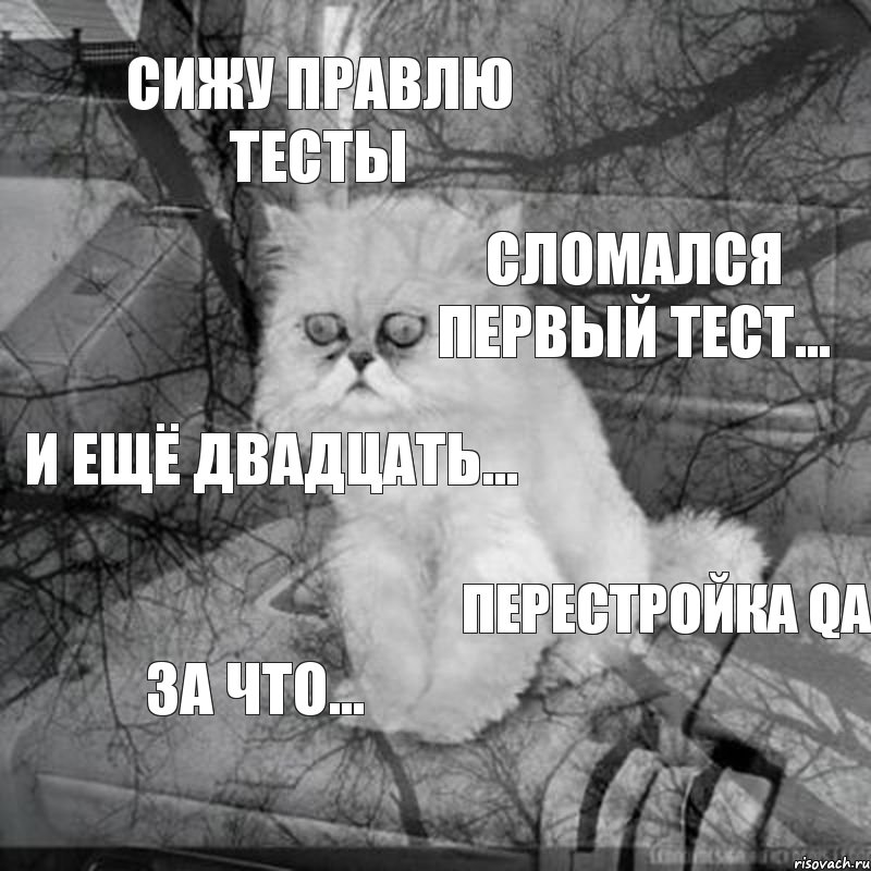 Сижу правлю тесты Сломался первый тест... и ещё двадцать... перестройка QA за что..., Комикс  кот безысходность