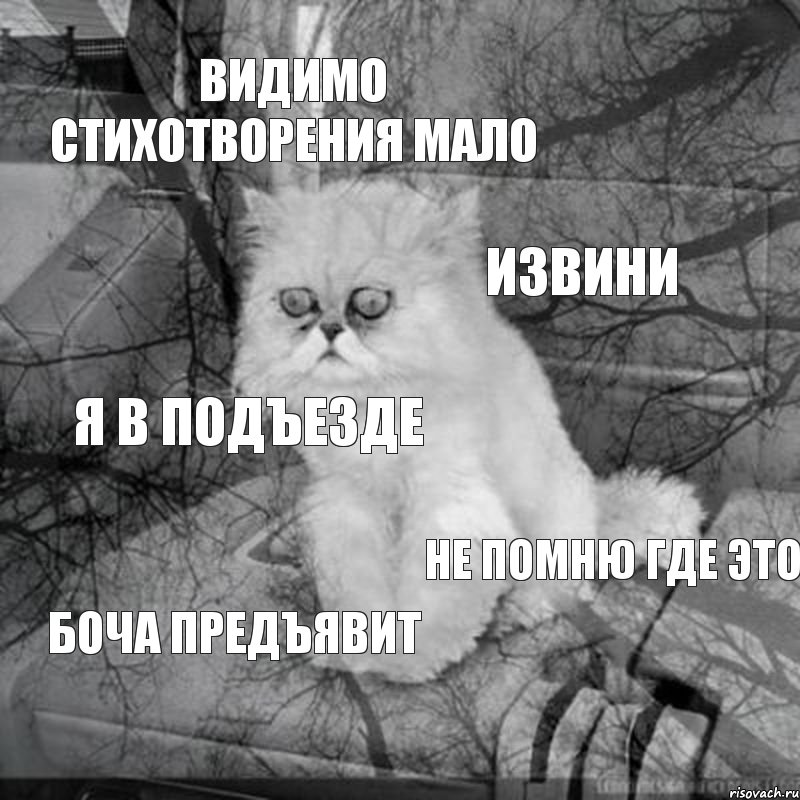 ВИДИМО СТИХОТВОРЕНИЯ МАЛО ИЗВИНИ Я В ПОДЪЕЗДЕ НЕ ПОМНЮ ГДЕ ЭТО БОЧА ПРЕДЪЯВИТ, Комикс  кот безысходность