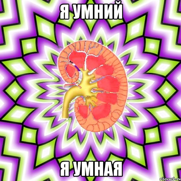 я умний я умная, Мем ТОЧКА