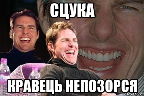 сцука Кравець непозорся, Мем том круз