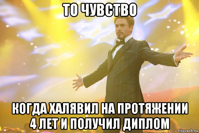 То чувство когда халявил на протяжении 4 лет и получил диплом, Мем Тони Старк (Роберт Дауни младший)