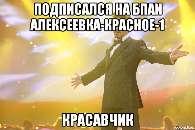 подписался на бпаN алексеевка-красное-1 красавчик, Мем Тони Старк (Роберт Дауни младший)