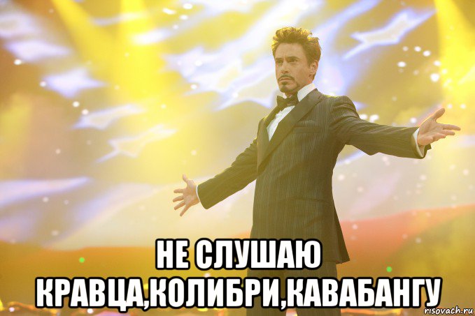  Не слушаю кравца,колибри,кавабангу, Мем Тони Старк (Роберт Дауни младший)