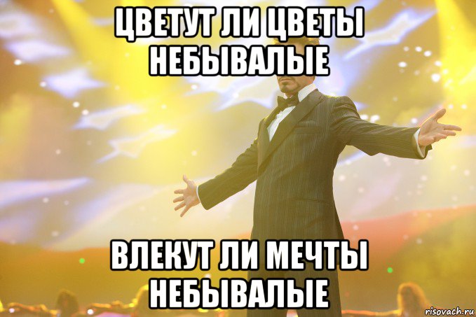 цветут ли цветы небывалые Влекут ли мечты небывалые, Мем Тони Старк (Роберт Дауни младший)
