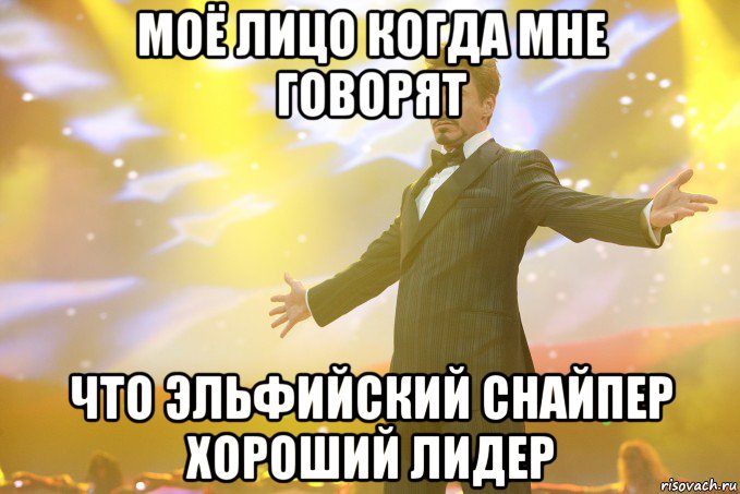 Моё лицо когда мне говорят что эльфийский снайпер хороший лидер, Мем Тони Старк (Роберт Дауни младший)