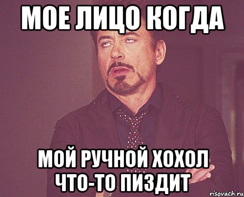 Мое лицо когда мой ручной хохол что-то пиздит, Мем твое выражение лица
