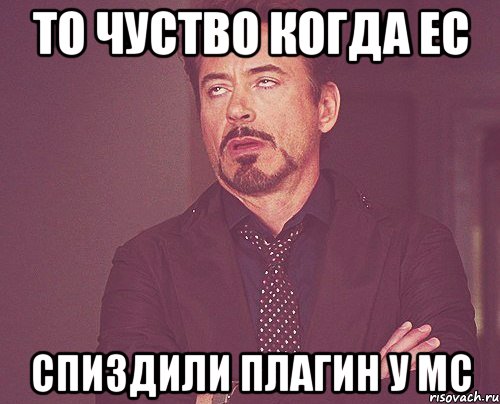 ТО ЧУСТВО КОГДА EC СПИЗДИЛИ ПЛАГИН У МС, Мем твое выражение лица