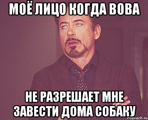 моё лицо когда Вова не разрешает мне завести дома собаку, Мем твое выражение лица