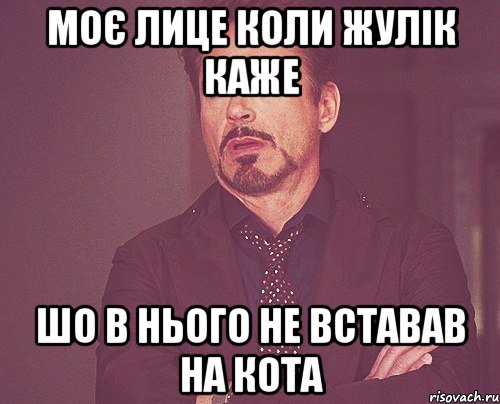 Моє лице коли жулік каже шо в нього не вставав на Кота, Мем твое выражение лица